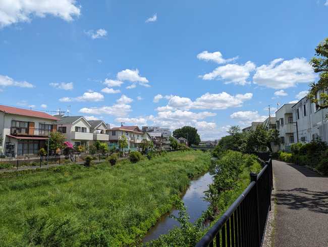 野川沿いの風景